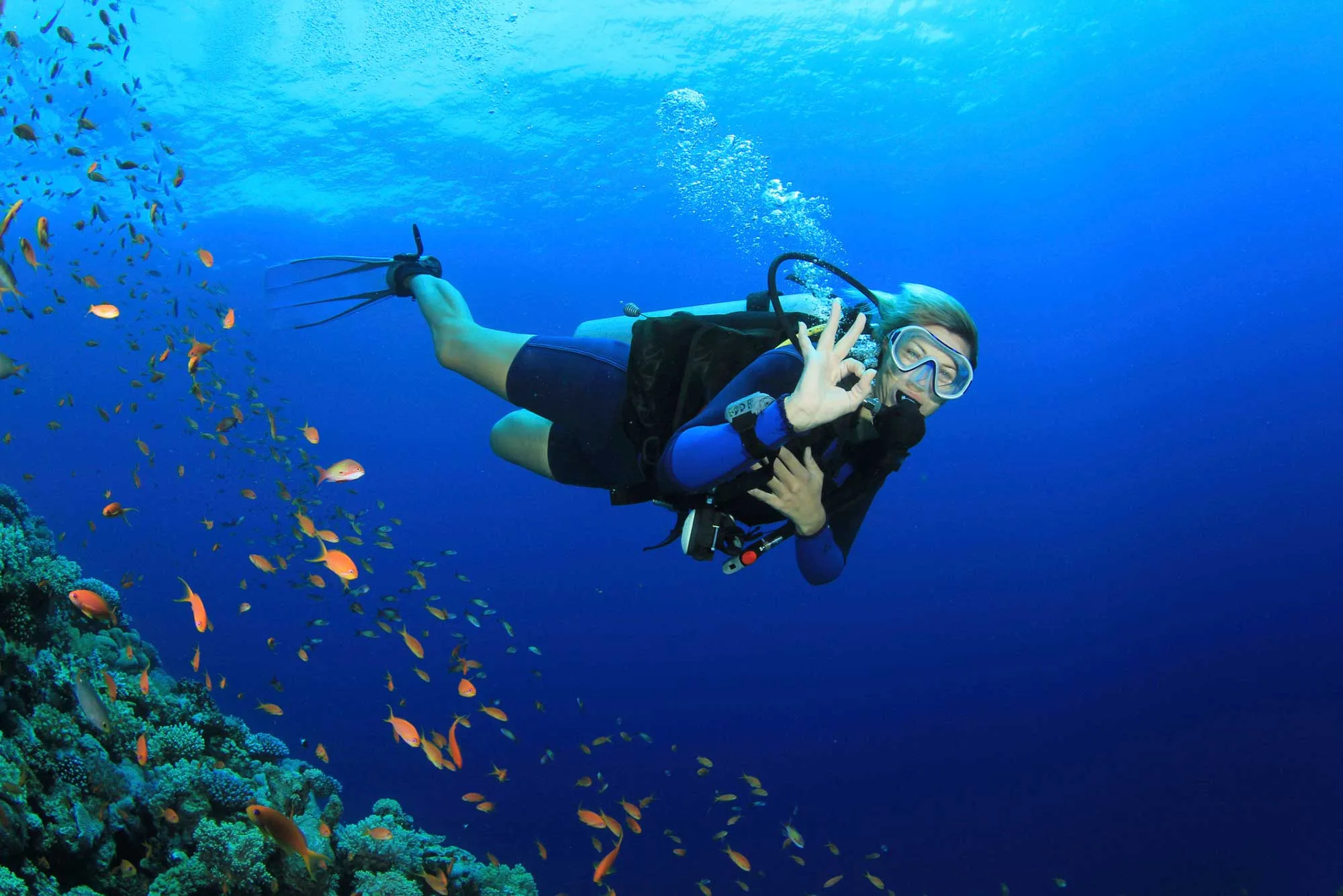 Fethiye Scuba Diving